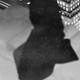 Illustration for article titled Is This Berenice Abbott Shooting One of NYC's Most Iconic Photos?